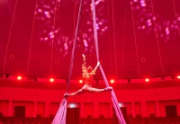 XXII ���������� ����������� ���� ������ (49)