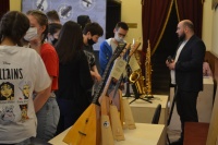 ��������� ���������� ����������� ���� ������-19