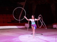 ��������� ���������� ����������� ���� ������-46