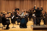 XXI ���������� ����������� ���� ������ (41)