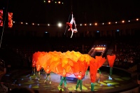 XXII ���������� ����������� ���� ������ (41)